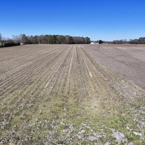 Photo #12 of Off Town Creek Road, Elm City, NC 6.8 acres