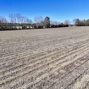 Photo #13 of Off Town Creek Road, Elm City, NC 6.8 acres