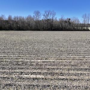 Photo #14 of Off Town Creek Road, Elm City, NC 6.8 acres