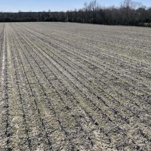Photo #15 of Off Town Creek Road, Elm City, NC 6.8 acres