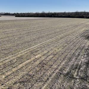 Photo #16 of Off Town Creek Road, Elm City, NC 6.8 acres
