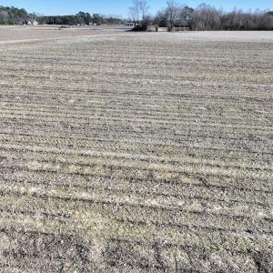 Photo #17 of Off Town Creek Road, Elm City, NC 6.8 acres