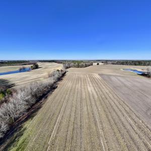 Photo #18 of Off Town Creek Road, Elm City, NC 6.8 acres