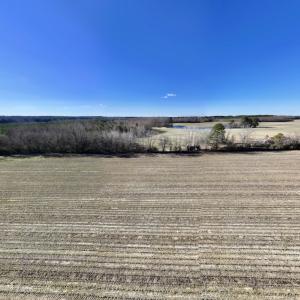 Photo #19 of Off Town Creek Road, Elm City, NC 6.8 acres