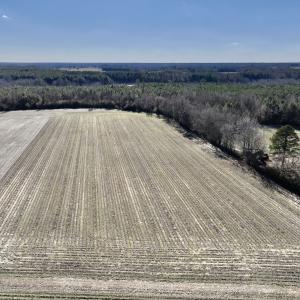 Photo #2 of Off Town Creek Road, Elm City, NC 6.8 acres