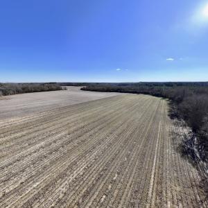 Photo #20 of Off Town Creek Road, Elm City, NC 6.8 acres