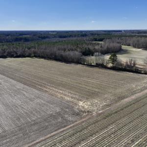 Photo #3 of Off Town Creek Road, Elm City, NC 6.8 acres