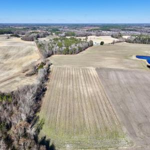Photo #7 of Off Town Creek Road, Elm City, NC 6.8 acres