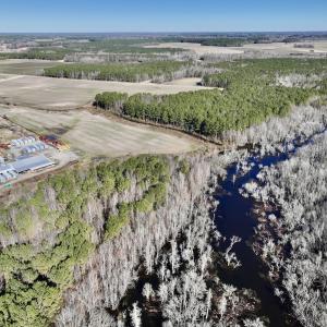 Photo #10 of SOLD property in Off Town Creek Road, Elm City, NC 108.2 acres