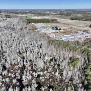 Photo #12 of SOLD property in Off Town Creek Road, Elm City, NC 108.2 acres