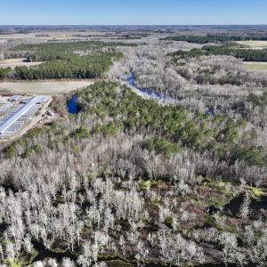 Photo #13 of SOLD property in Off Town Creek Road, Elm City, NC 108.2 acres
