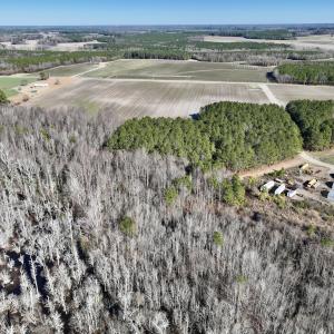 Photo #17 of SOLD property in Off Town Creek Road, Elm City, NC 108.2 acres