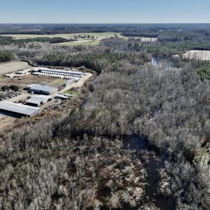 Photo #18 of SOLD property in Off Town Creek Road, Elm City, NC 108.2 acres