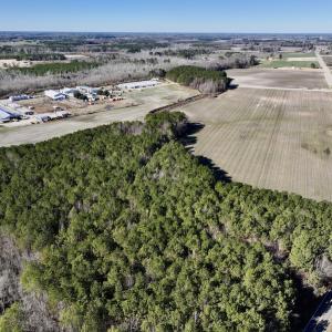 Photo #6 of SOLD property in Off Town Creek Road, Elm City, NC 108.2 acres