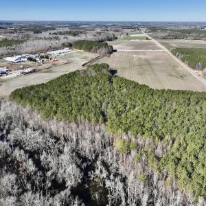 Photo #7 of SOLD property in Off Town Creek Road, Elm City, NC 108.2 acres
