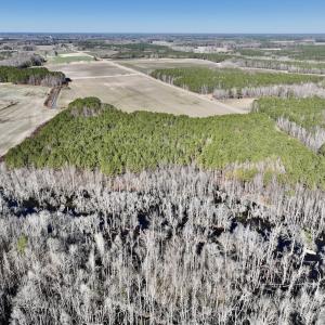 Photo #8 of SOLD property in Off Town Creek Road, Elm City, NC 108.2 acres