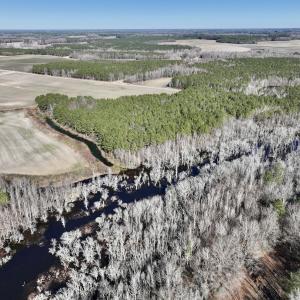Photo #9 of SOLD property in Off Town Creek Road, Elm City, NC 108.2 acres