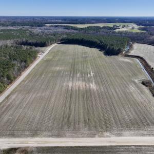 Photo #21 of SOLD property in Off Town Creek Road, Elm City, NC 108.2 acres