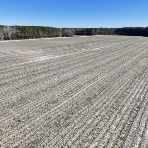 Photo #22 of SOLD property in Off Town Creek Road, Elm City, NC 108.2 acres