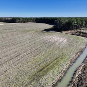 Photo #23 of SOLD property in Off Town Creek Road, Elm City, NC 108.2 acres
