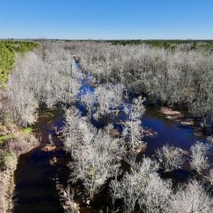 Photo #25 of SOLD property in Off Town Creek Road, Elm City, NC 108.2 acres