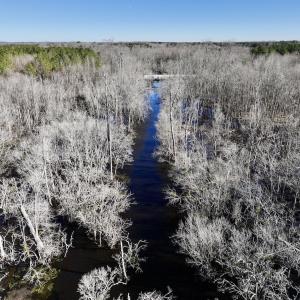Photo #26 of SOLD property in Off Town Creek Road, Elm City, NC 108.2 acres