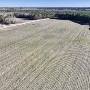 Photo #31 of SOLD property in Off Town Creek Road, Elm City, NC 108.2 acres