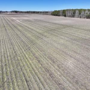 Photo #32 of SOLD property in Off Town Creek Road, Elm City, NC 108.2 acres