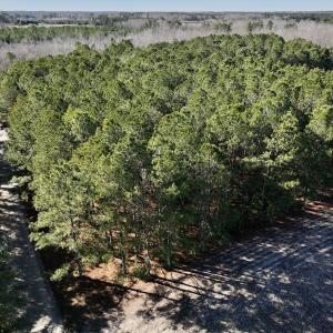 Photo #33 of SOLD property in Off Town Creek Road, Elm City, NC 108.2 acres