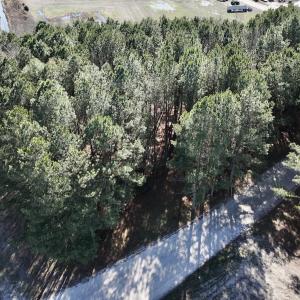 Photo #34 of SOLD property in Off Town Creek Road, Elm City, NC 108.2 acres