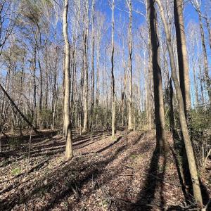 Photo #35 of SOLD property in Off Town Creek Road, Elm City, NC 108.2 acres