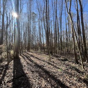 Photo #37 of SOLD property in Off Town Creek Road, Elm City, NC 108.2 acres