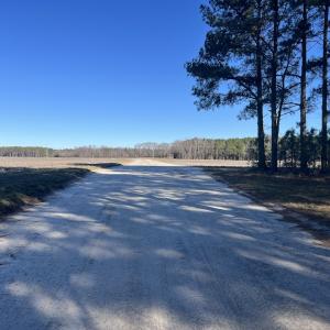 Photo #39 of SOLD property in Off Town Creek Road, Elm City, NC 108.2 acres