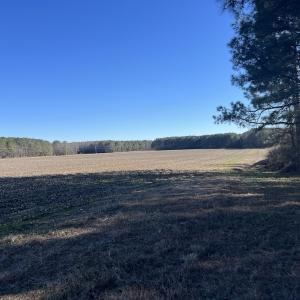 Photo #40 of SOLD property in Off Town Creek Road, Elm City, NC 108.2 acres