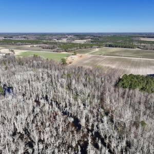 Photo #10 of SOLD property in Off Town Creek Road, Elm City, NC 26.4 acres