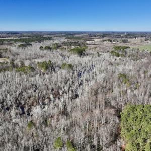 Photo #12 of SOLD property in Off Town Creek Road, Elm City, NC 26.4 acres