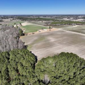 Photo #13 of SOLD property in Off Town Creek Road, Elm City, NC 26.4 acres