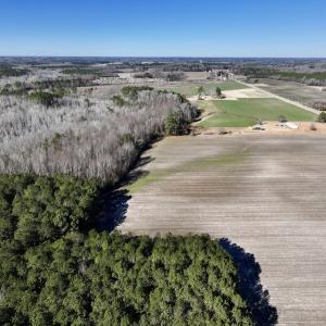 Photo #14 of SOLD property in Off Town Creek Road, Elm City, NC 26.4 acres