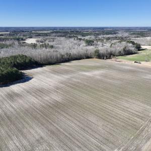 Photo #16 of SOLD property in Off Town Creek Road, Elm City, NC 26.4 acres