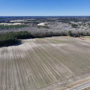 Photo #17 of SOLD property in Off Town Creek Road, Elm City, NC 26.4 acres
