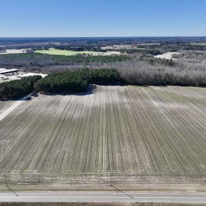 Photo #18 of SOLD property in Off Town Creek Road, Elm City, NC 26.4 acres