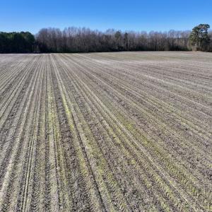 Photo #19 of SOLD property in Off Town Creek Road, Elm City, NC 26.4 acres
