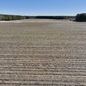 Photo #20 of SOLD property in Off Town Creek Road, Elm City, NC 26.4 acres