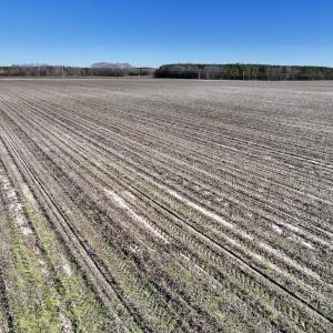 Photo #21 of SOLD property in Off Town Creek Road, Elm City, NC 26.4 acres