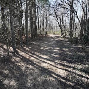 Photo #23 of SOLD property in Off Town Creek Road, Elm City, NC 26.4 acres