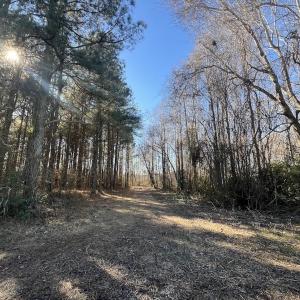 Photo #25 of SOLD property in Off Town Creek Road, Elm City, NC 26.4 acres
