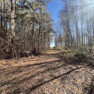 Photo #26 of SOLD property in Off Town Creek Road, Elm City, NC 26.4 acres