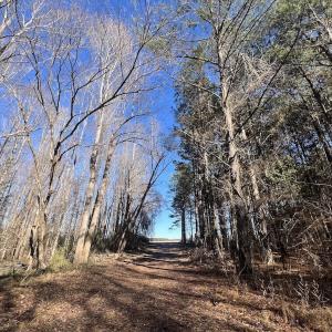Photo #27 of SOLD property in Off Town Creek Road, Elm City, NC 26.4 acres