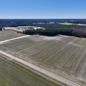 Photo #3 of SOLD property in Off Town Creek Road, Elm City, NC 26.4 acres