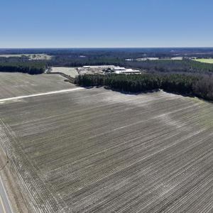 Photo #4 of SOLD property in Off Town Creek Road, Elm City, NC 26.4 acres